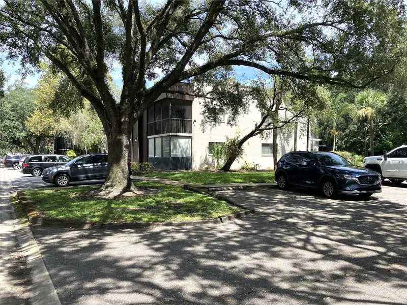 11703 Raintree Village Boulevard, FL