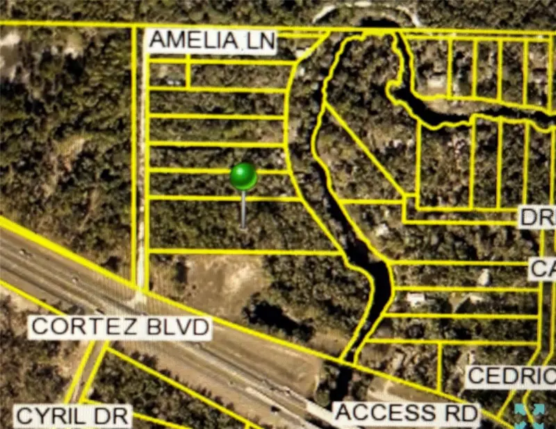 Amelia Ln, FL