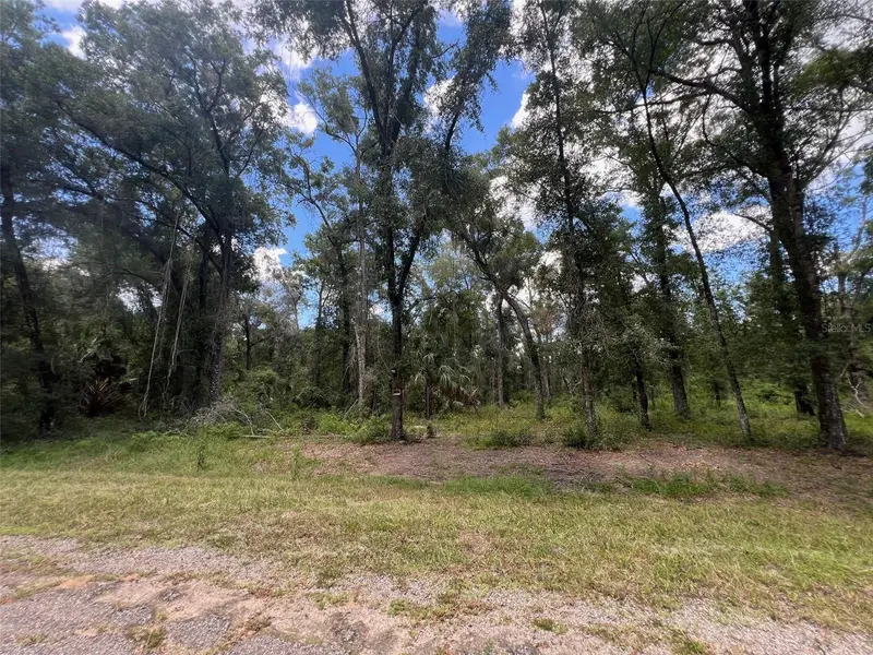 1628 E Derby Dr, FL