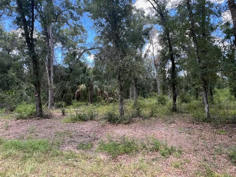 1628 E Derby Dr, FL