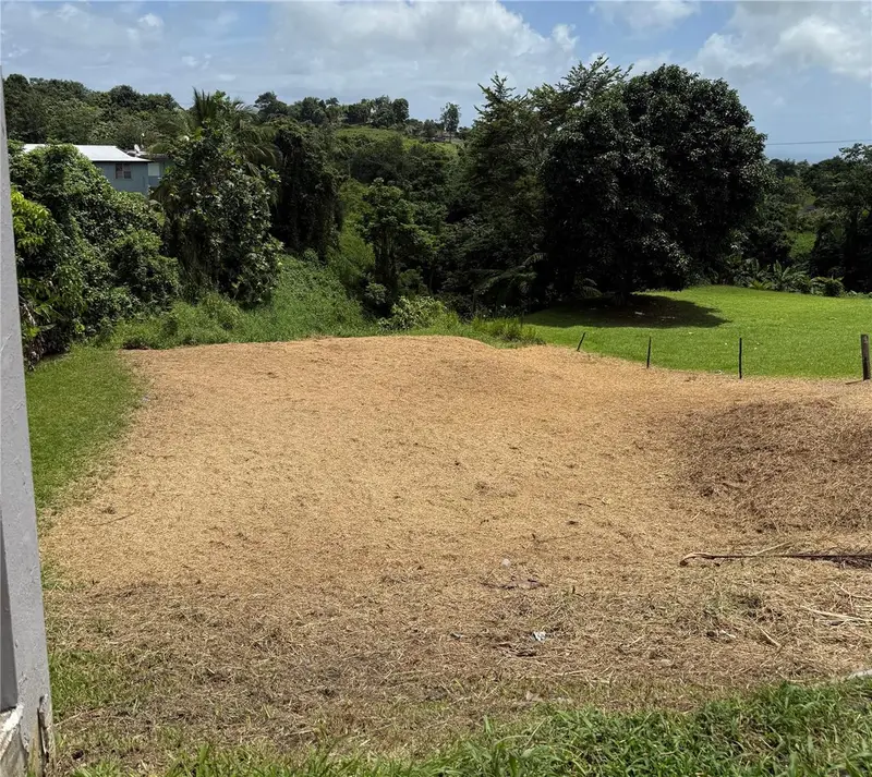 Bo. Tejas, PR