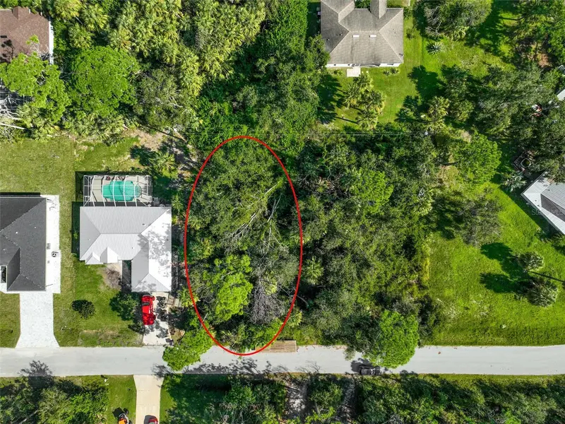 Rabbitt Ave, FL