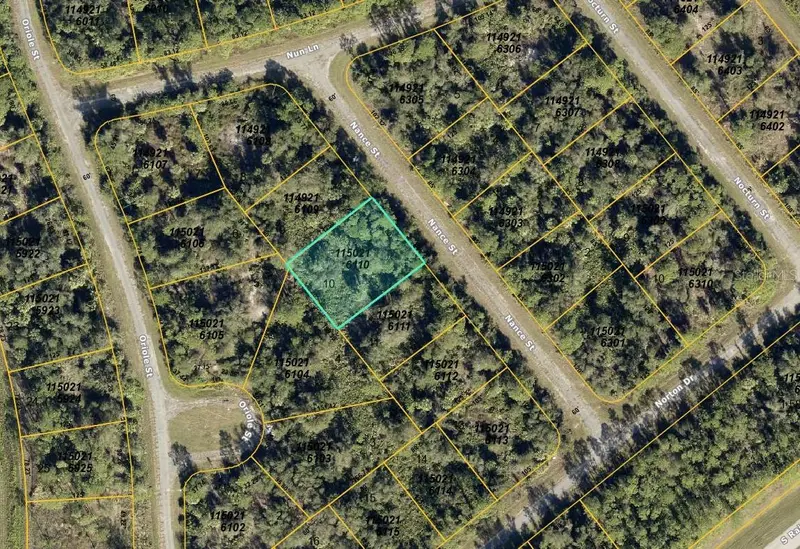 Nance St, FL