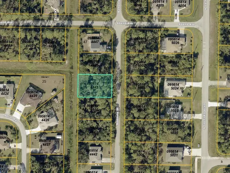 Bamonte St, FL