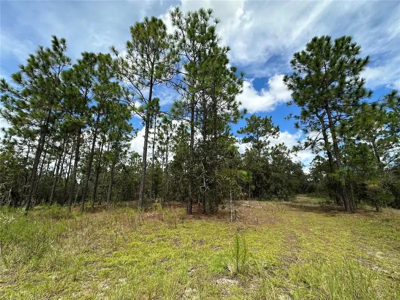 Tbd Se 105th Ln, FL