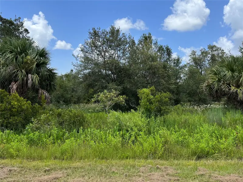 17915 Nw 290th St, FL