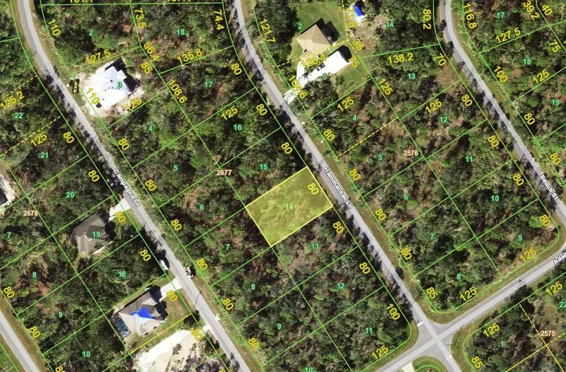 1177 Hammacher Ln, FL