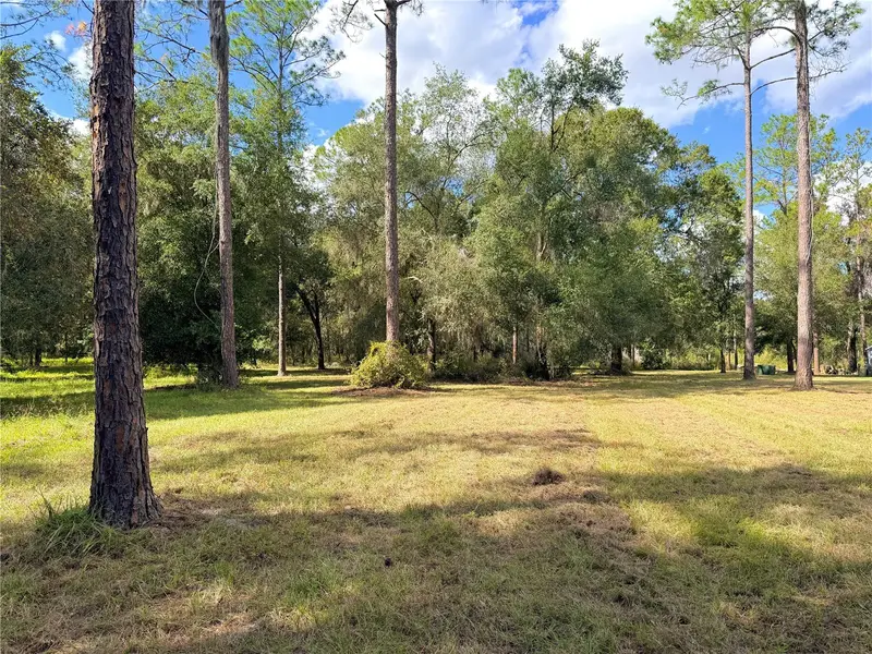 Bonsmara Dr, FL