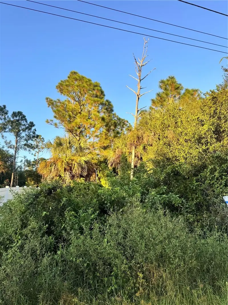 Colorade Ave, FL