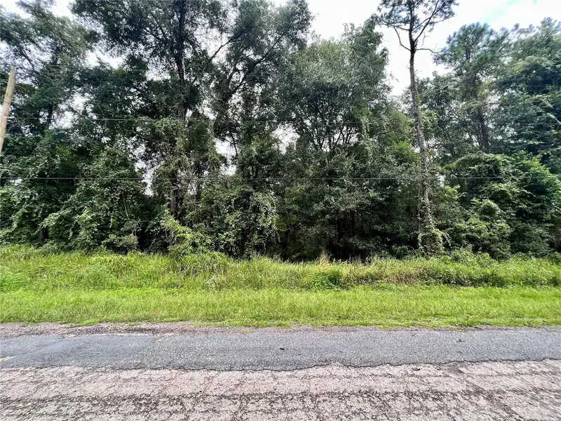 303 W Eridani Ct, FL