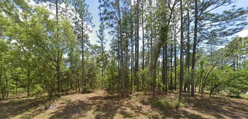 3662 W Galtonia Ln, FL