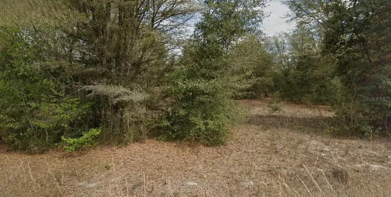 Guy Ave, FL