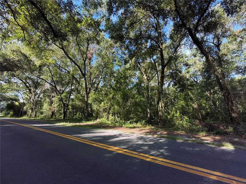 Tbd S St Clair St, FL