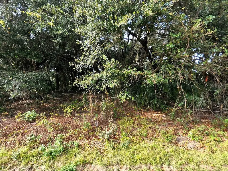 North Port, Fl, FL