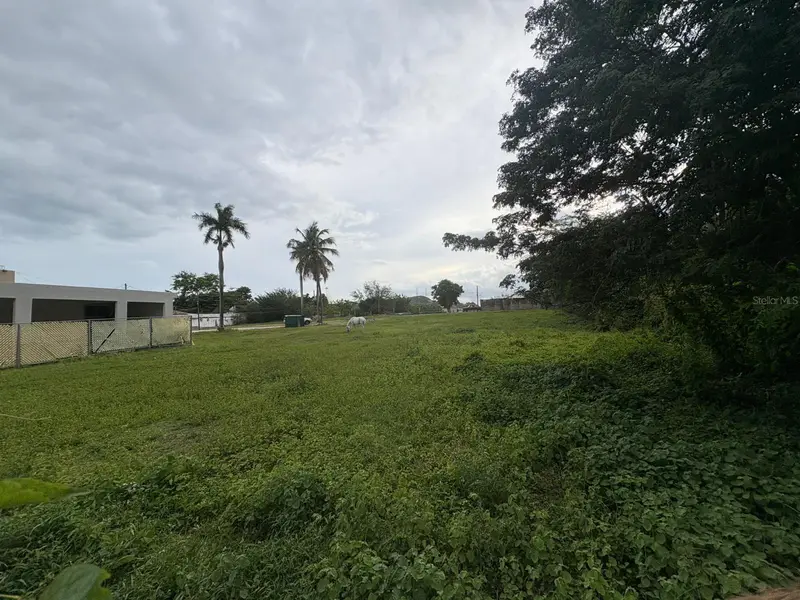 1 Juana Diaz, PR