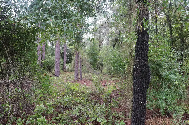 00 Nw Beuna Vista Rd, FL
