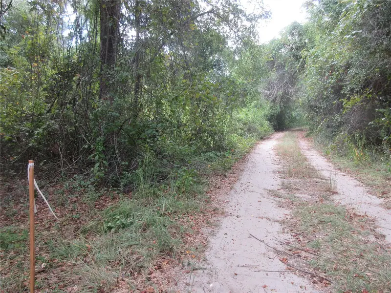 Se 1 Ln, FL
