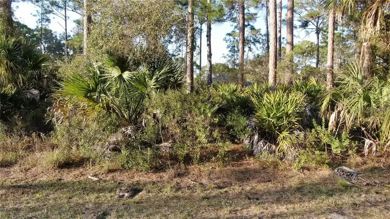 Trapp St, FL