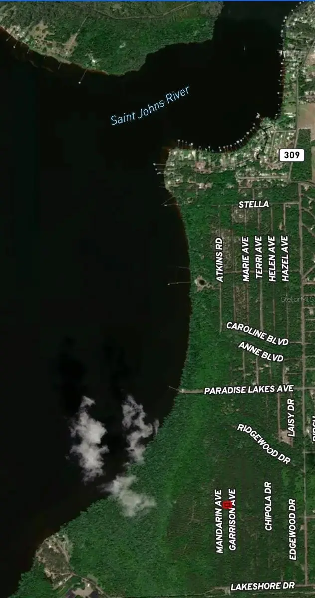 131 Garrison Ave, FL