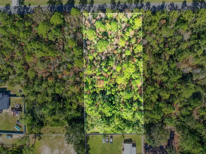 Lansdowne St, FL