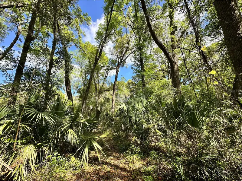Tbd Sw 5th Ln, FL