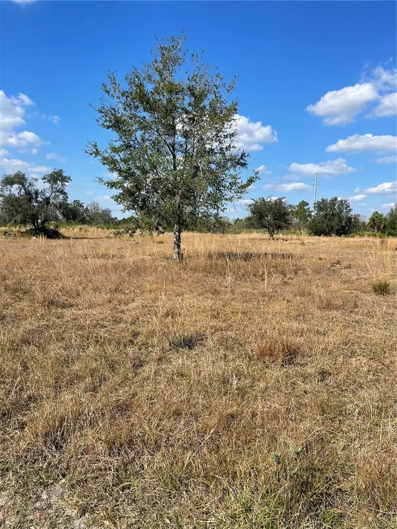 Hammermill Ave, FL