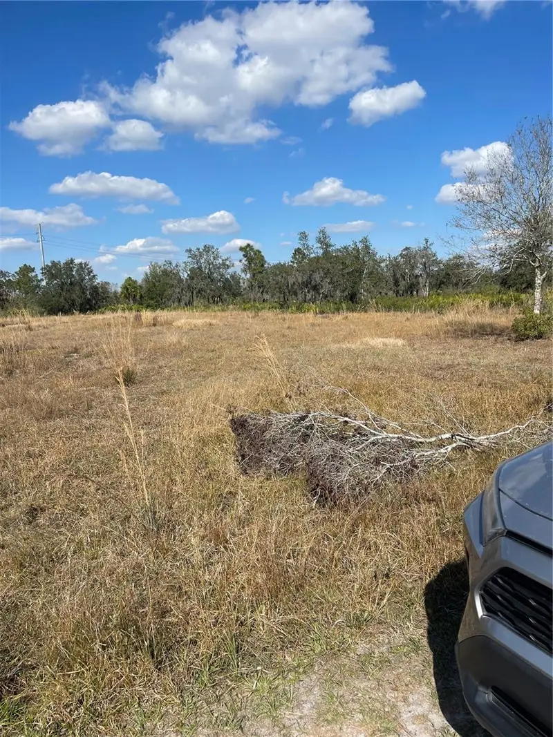 Hammermill Ave, FL