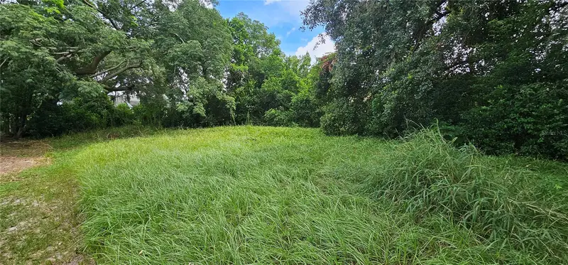 Pine Island Dr, FL