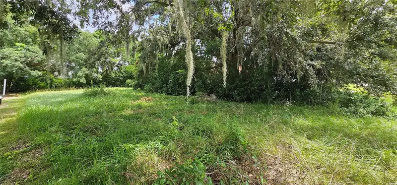 Pine Island Dr, FL