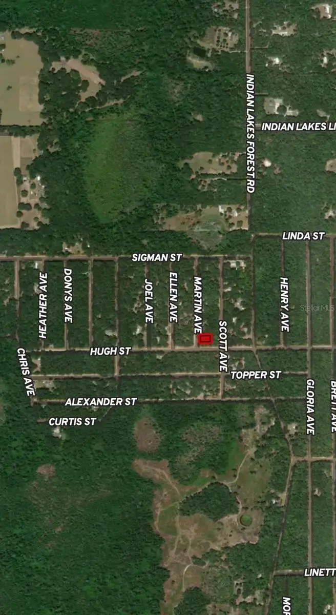Lot 13 Martin Ave, FL