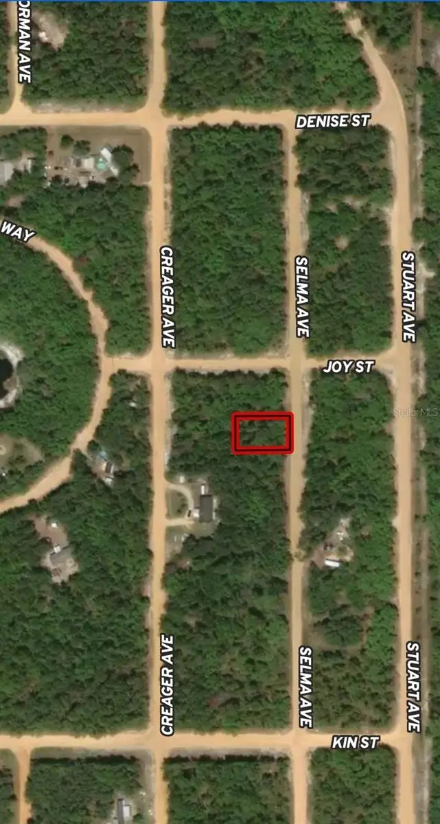 Lot 19 Selma Ave, FL