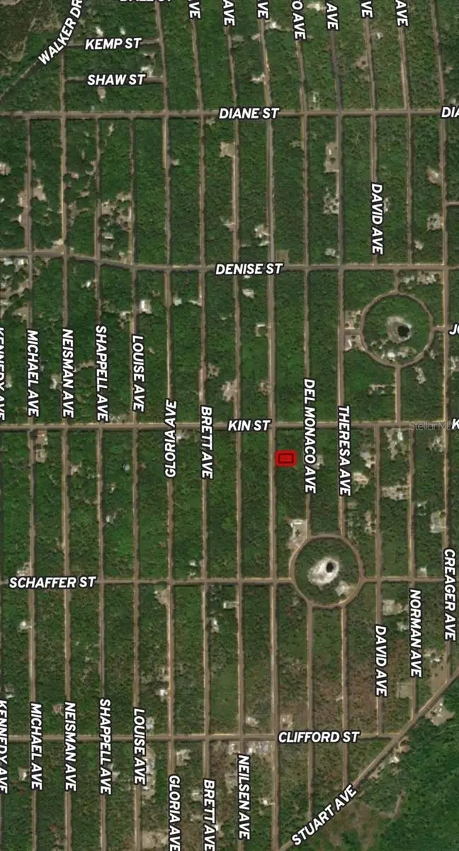 Lot 4 Usina Ave, FL