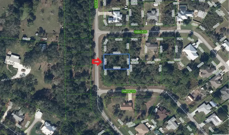 1541 Buck St, FL
