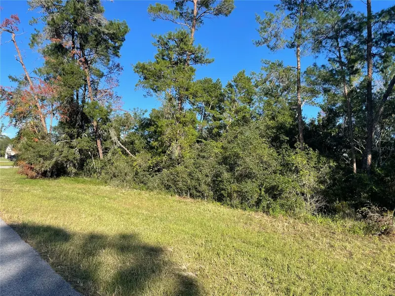 Marion Oaks Lane, FL