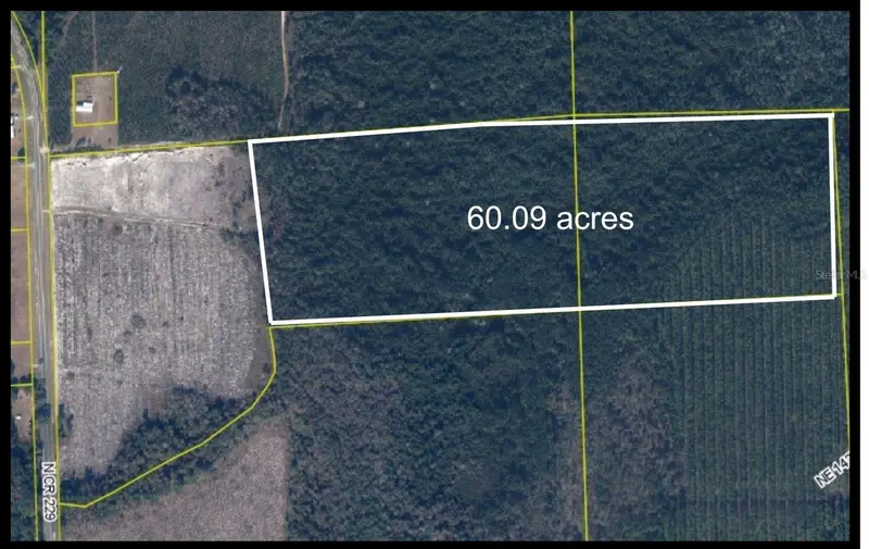 Tbd N County Rd 229, FL