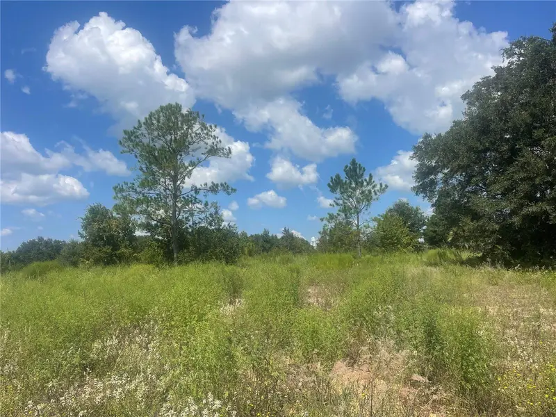 Tbd Keene Rd, FL