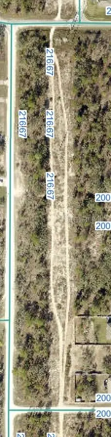 Snowy Plover Ave, FL