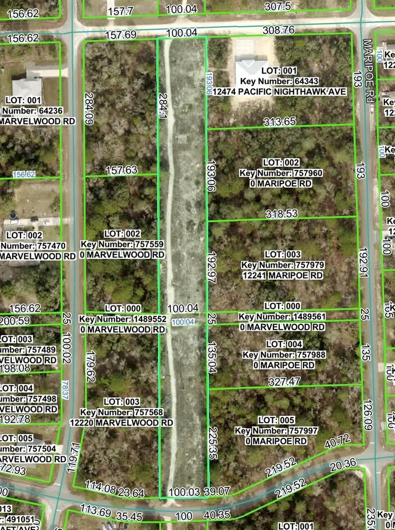 Pacific Nighthawk Ave, FL