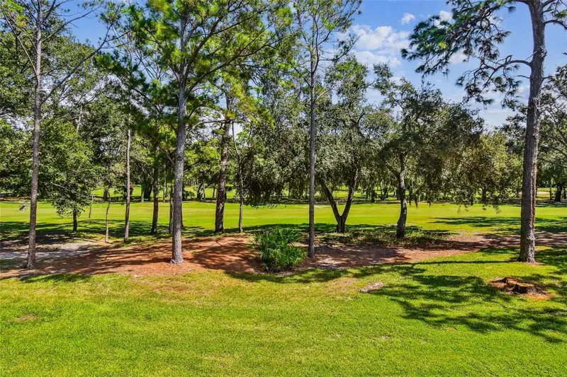 36750 Us Highway 19 N #19213, FL