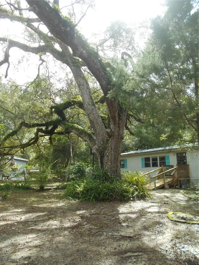 20425 Ne 143rd St, FL