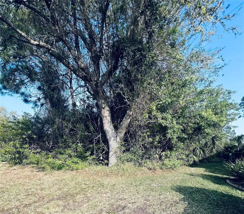 91 Emerald Lake Dr, FL
