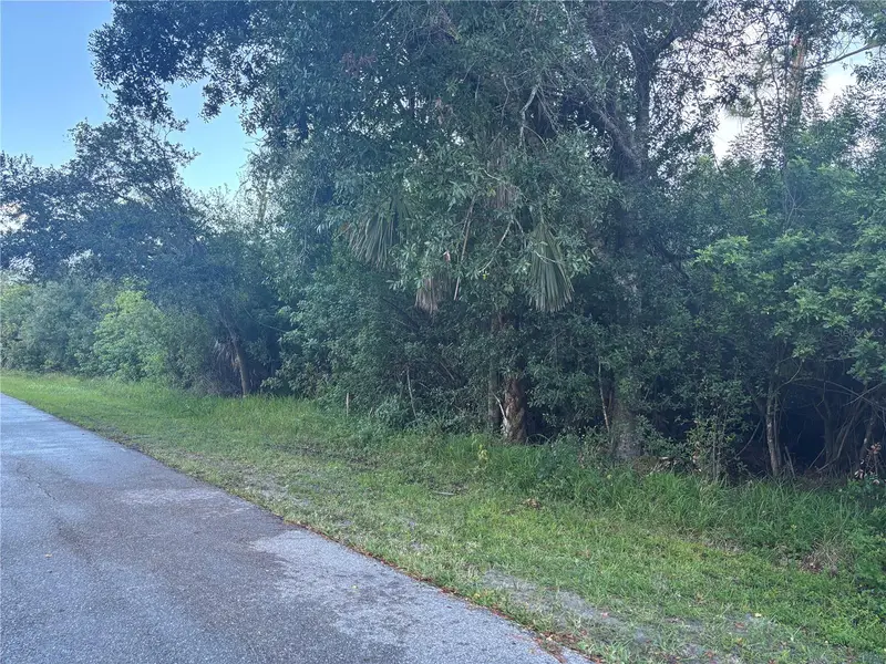 919 Phyllis Ter, FL