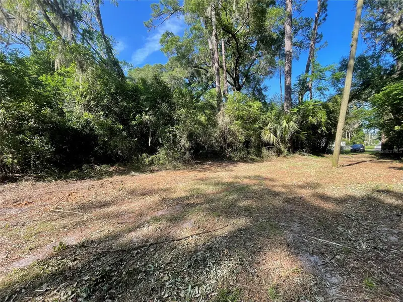 521 Ne 31st St, FL