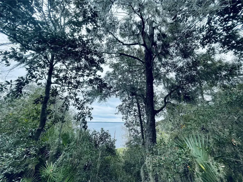 Tbd Ne 245th Street Road, FL