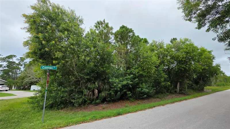 12339 Cognac Dr, FL