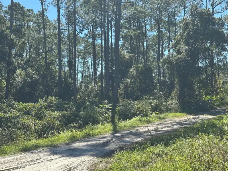11th Ave, FL