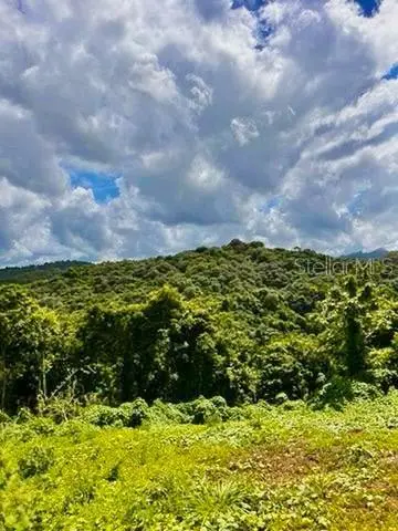 Solar 19 Barrio Cordillera, PR