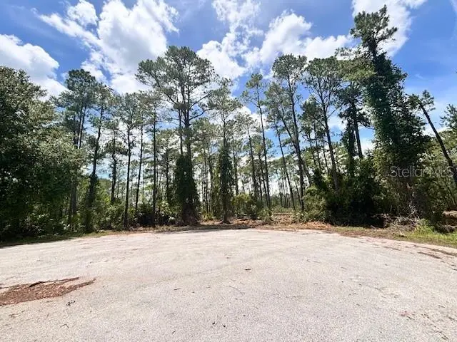 Chinaberry Way, FL