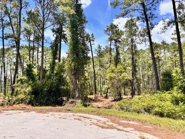 Chinaberry Way, FL