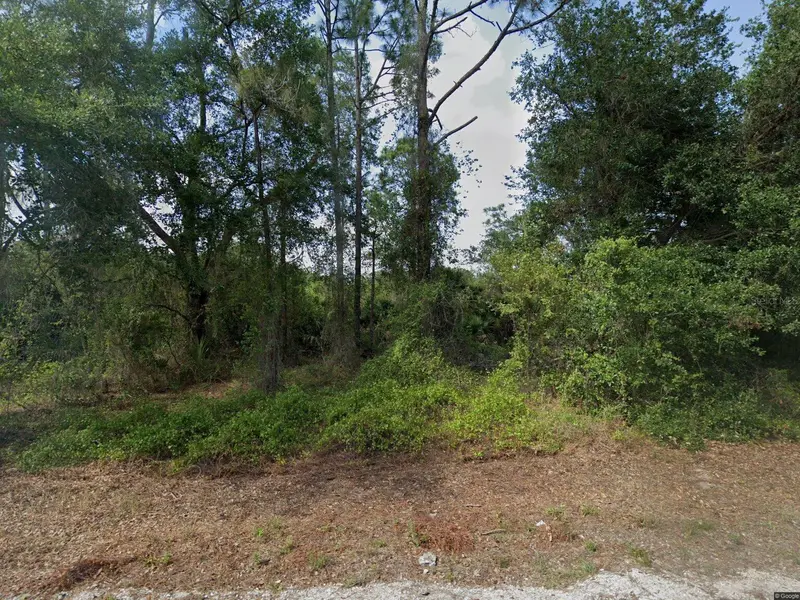 1015 Pilgrim St E, FL
